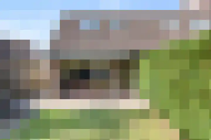 de Meeuwse Acker 1402 Nijmegen thumbnail 25