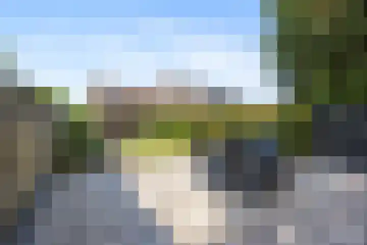 de Meeuwse Acker 1402 Nijmegen thumbnail 26