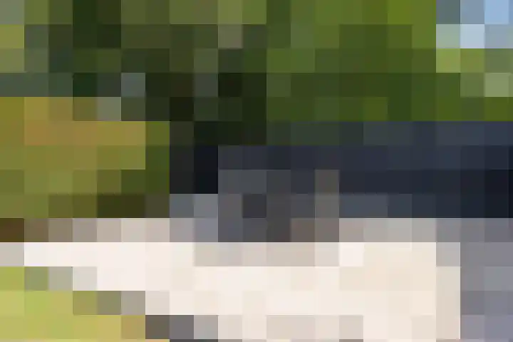 de Meeuwse Acker 1402 Nijmegen thumbnail 28