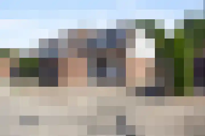 de Meeuwse Acker 1402 Nijmegen thumbnail 29