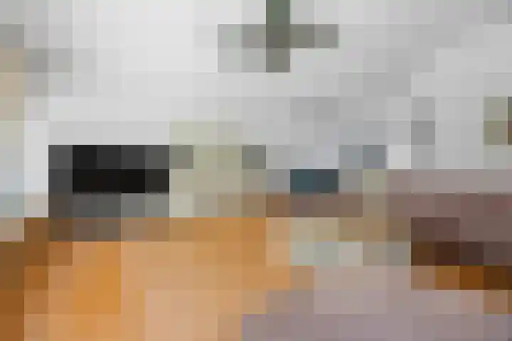 de Meeuwse Acker 1402 Nijmegen thumbnail 9