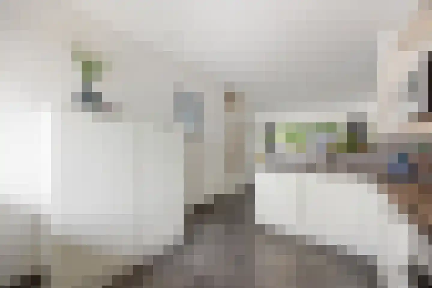 de Meeuwse Acker 1516 Nijmegen thumbnail 10