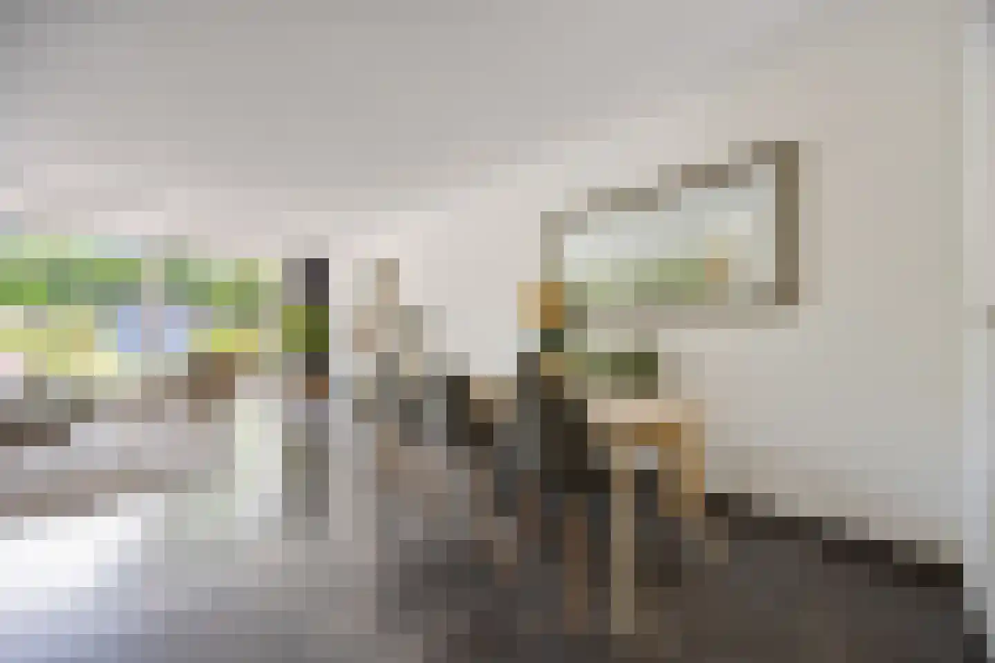 de Meeuwse Acker 1516 Nijmegen thumbnail 13