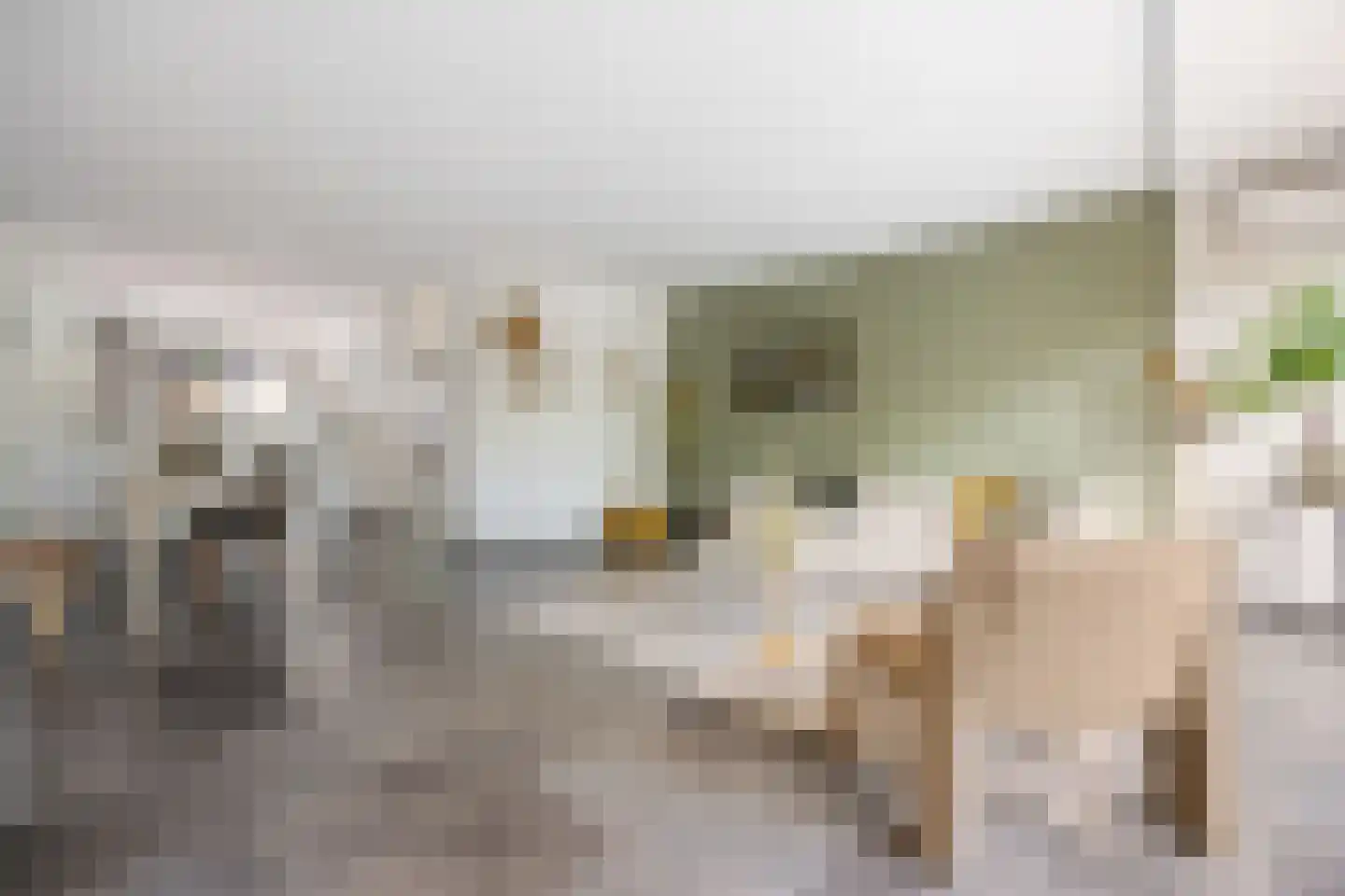 de Meeuwse Acker 1516 Nijmegen thumbnail 15