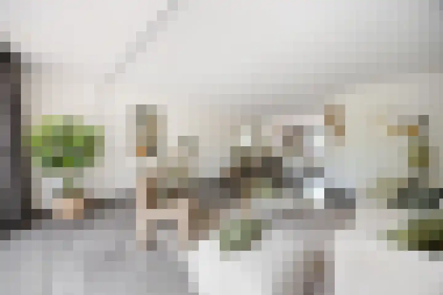 de Meeuwse Acker 1516 Nijmegen thumbnail 17
