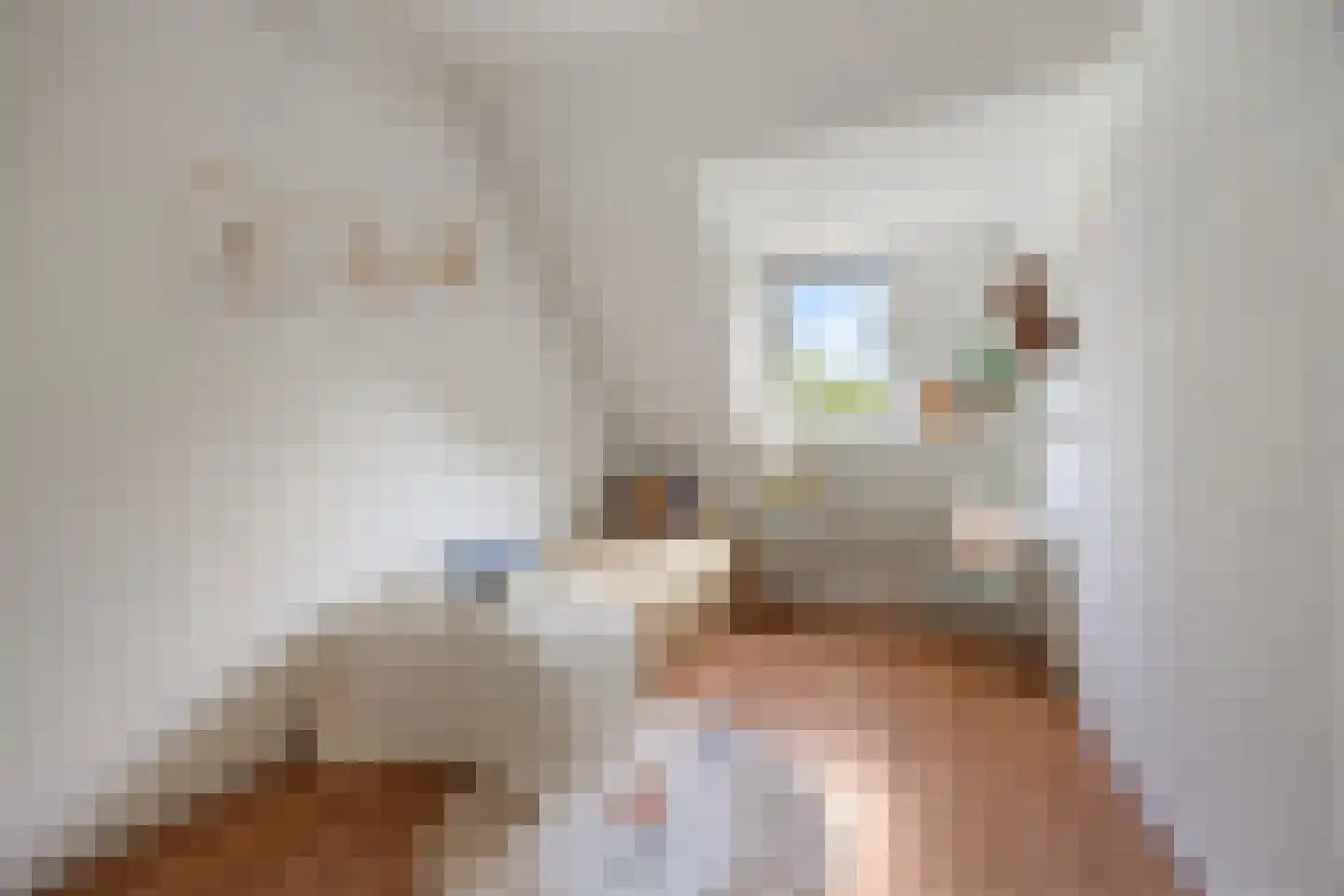 de Meeuwse Acker 1516 Nijmegen thumbnail 22