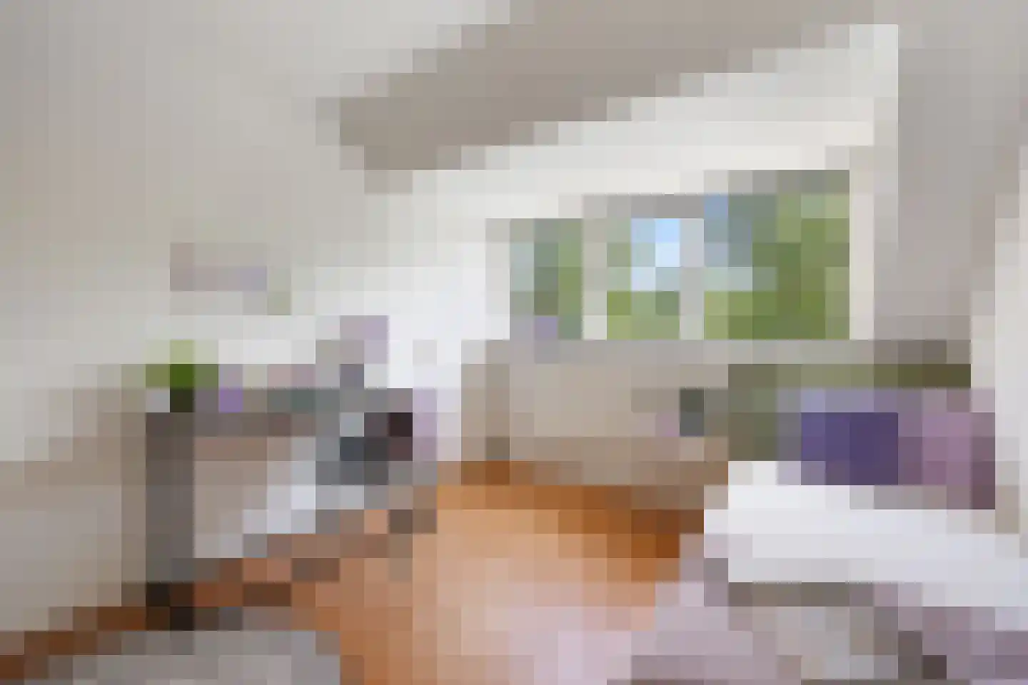 de Meeuwse Acker 1516 Nijmegen thumbnail 25