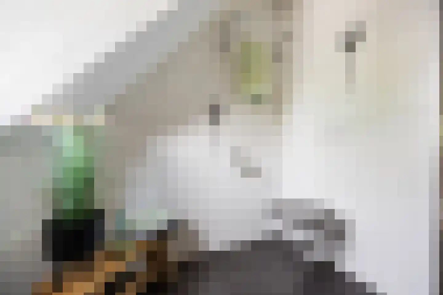 de Meeuwse Acker 1516 Nijmegen thumbnail 29