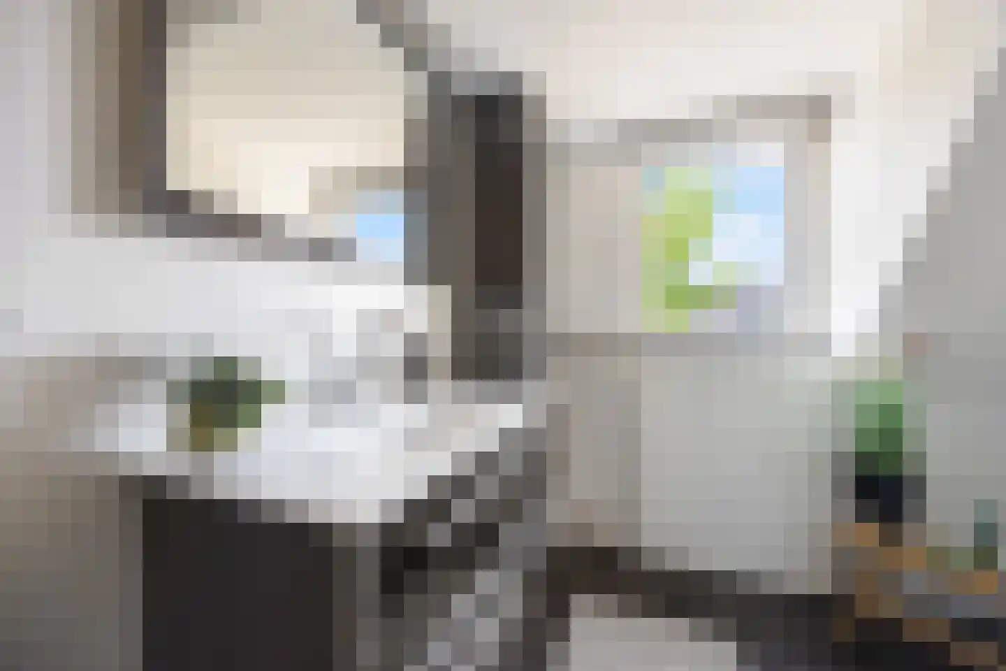 de Meeuwse Acker 1516 Nijmegen thumbnail 30