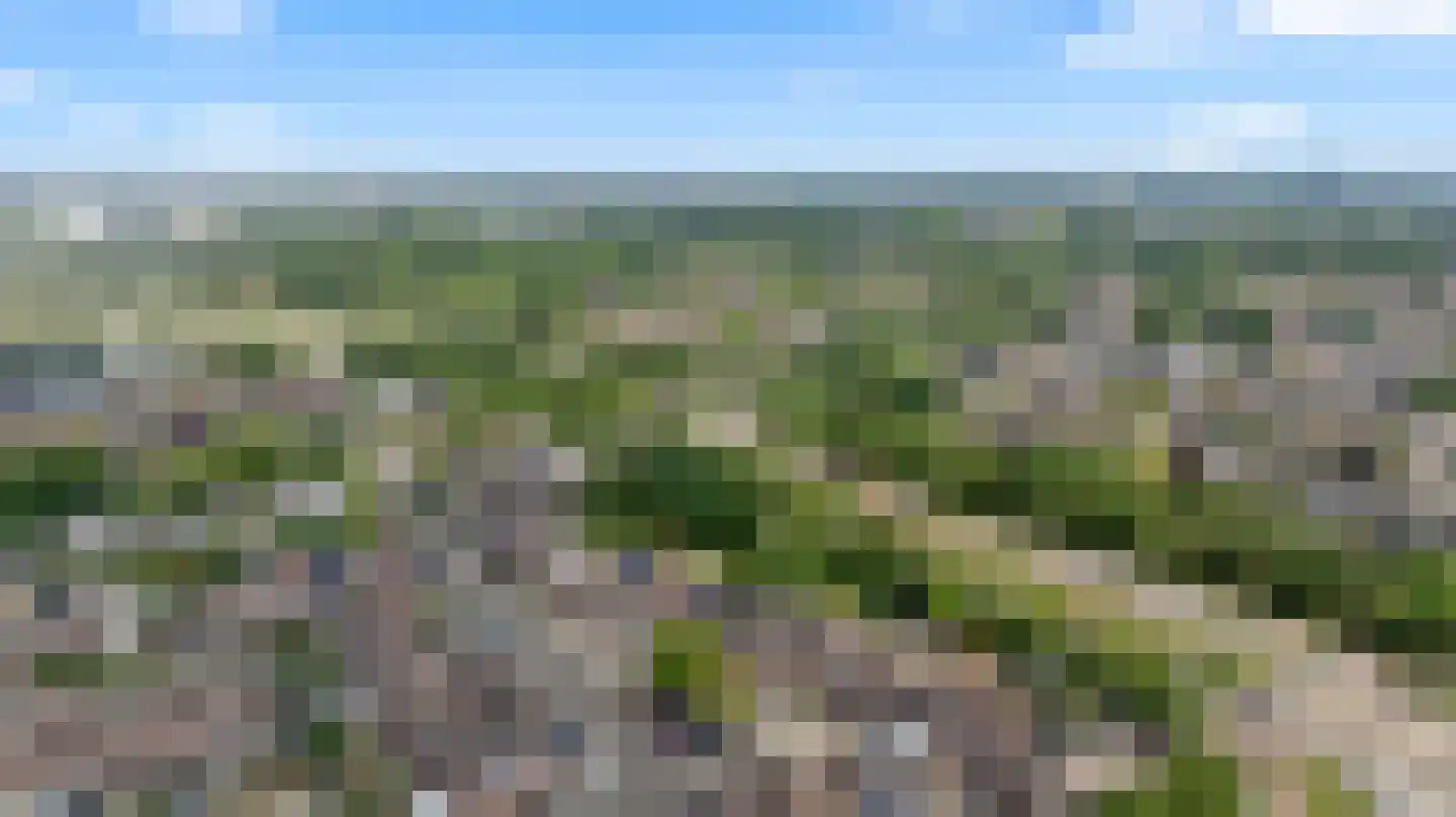 de Meeuwse Acker 1516 Nijmegen thumbnail 39