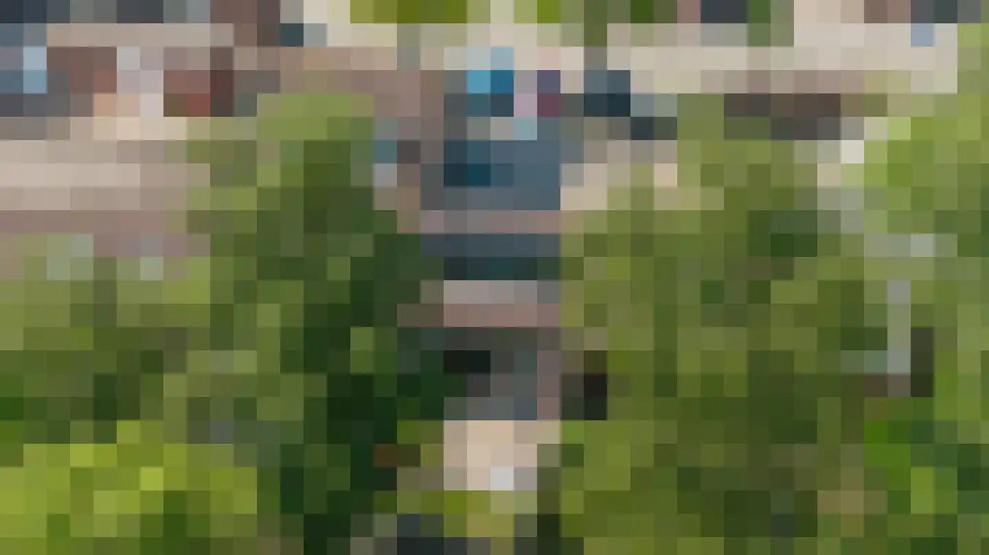 de Meeuwse Acker 1516 Nijmegen thumbnail 42