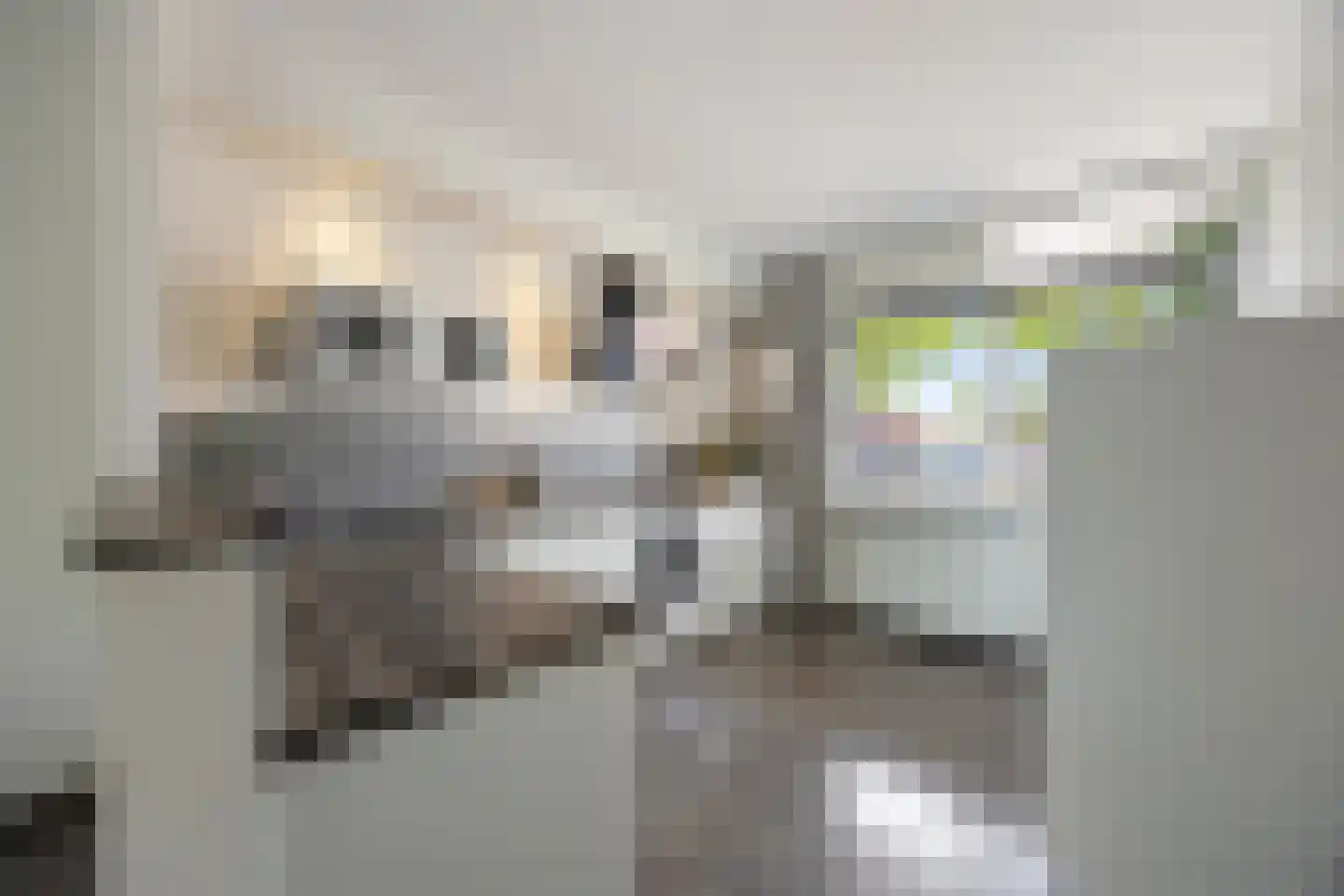 de Meeuwse Acker 1516 Nijmegen thumbnail 8