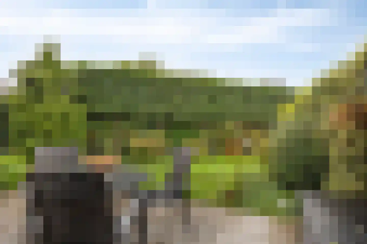 de Meeuwse Acker 2017 Nijmegen thumbnail 32
