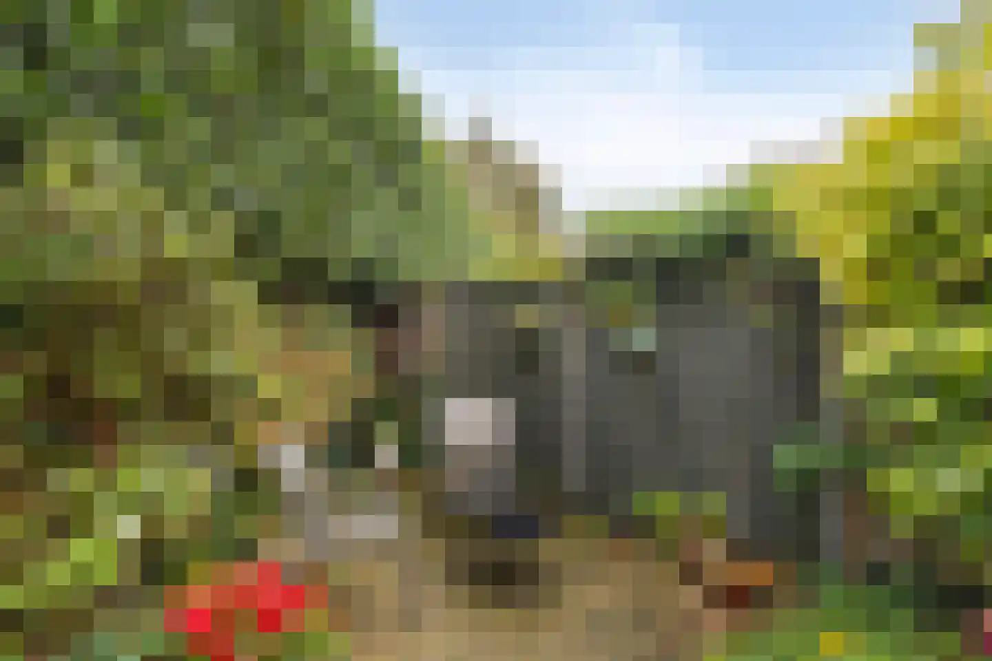 de Meeuwse Acker 2017 Nijmegen thumbnail 34