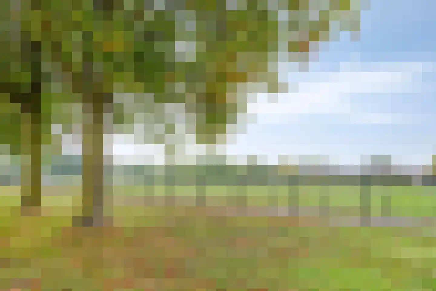 de Meeuwse Acker 2017 Nijmegen thumbnail 4