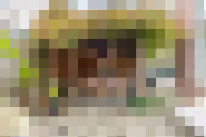 De Mei 18 Wormerveer thumbnail 12