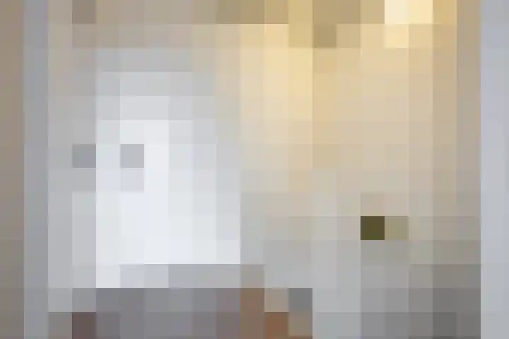De Mei 18 Wormerveer thumbnail 25