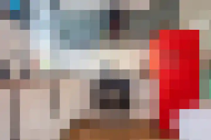De Mei 18 Wormerveer thumbnail 9
