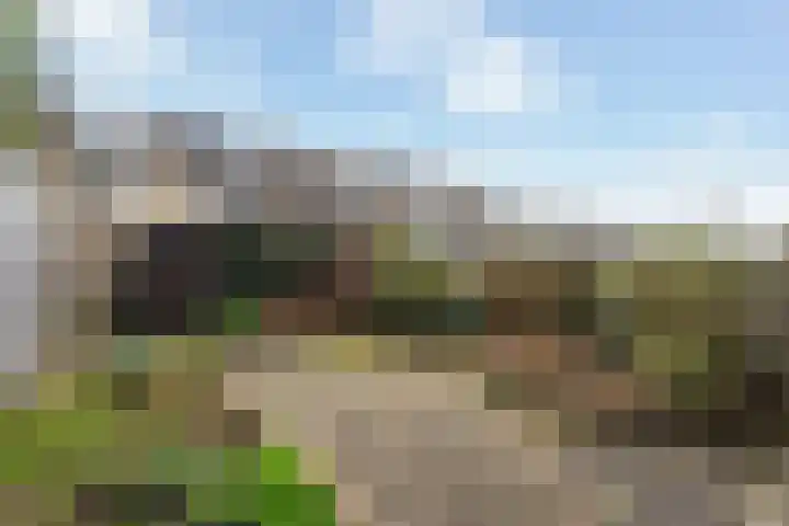 De Meibloem 45 Wateringen thumbnail 21