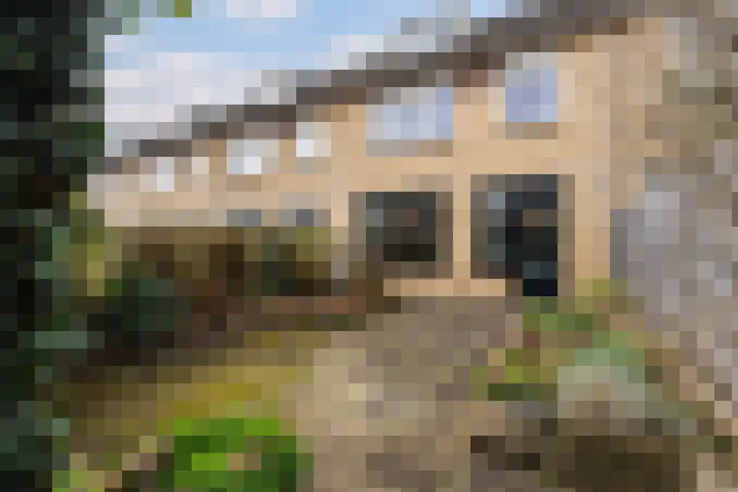 De Meibloem 45 Wateringen thumbnail 22