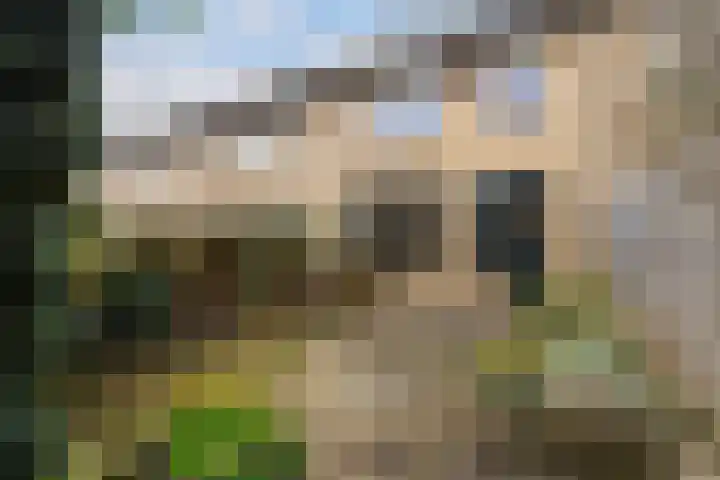 De Meibloem 45 Wateringen thumbnail 22