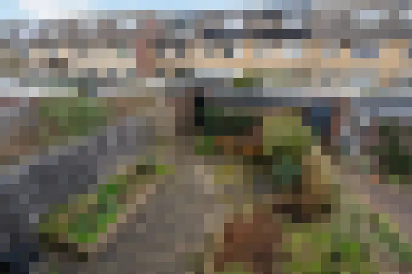 De Meibloem 45 Wateringen thumbnail 39