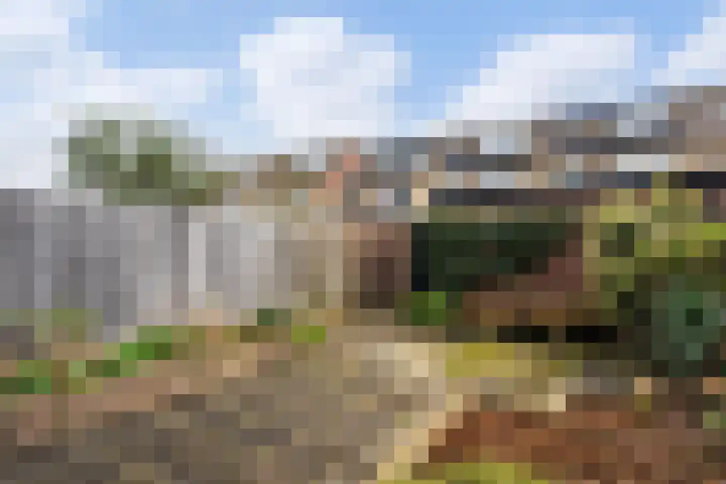 De Meibloem 45 Wateringen thumbnail 4