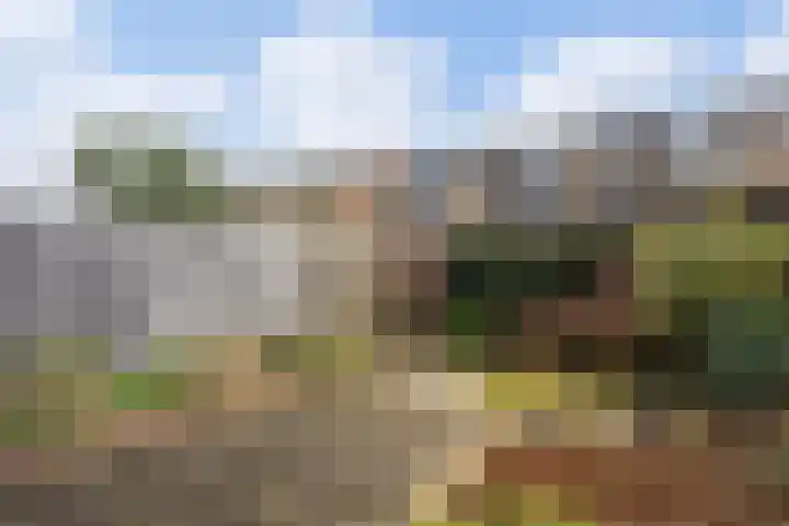 De Meibloem 45 Wateringen thumbnail 4