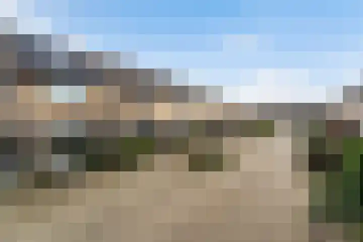 De Meibloem 45 Wateringen thumbnail 41