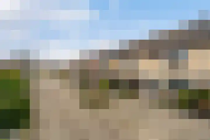 De Meibloem 45 Wateringen thumbnail 5