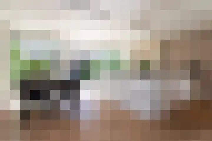 De Meibloem 5 Wateringen thumbnail 14
