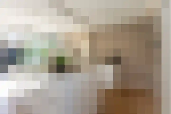 De Meibloem 5 Wateringen thumbnail 15