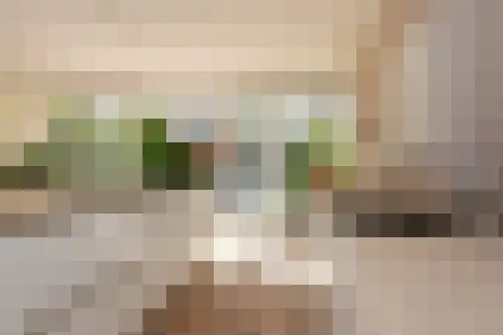 De Meibloem 5 Wateringen thumbnail 17