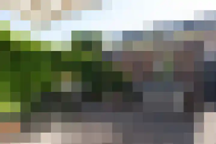 De Meibloem 5 Wateringen thumbnail 25