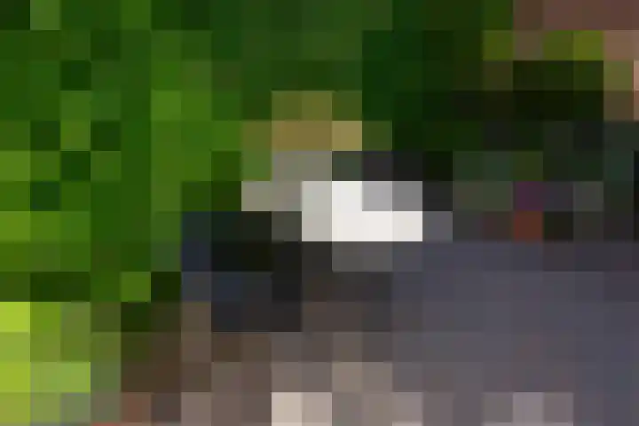 De Meibloem 5 Wateringen thumbnail 26