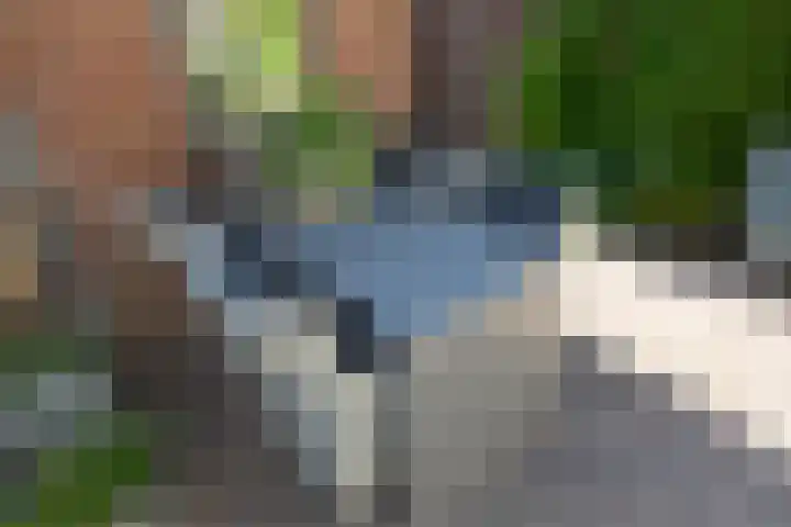 De Meibloem 5 Wateringen thumbnail 27