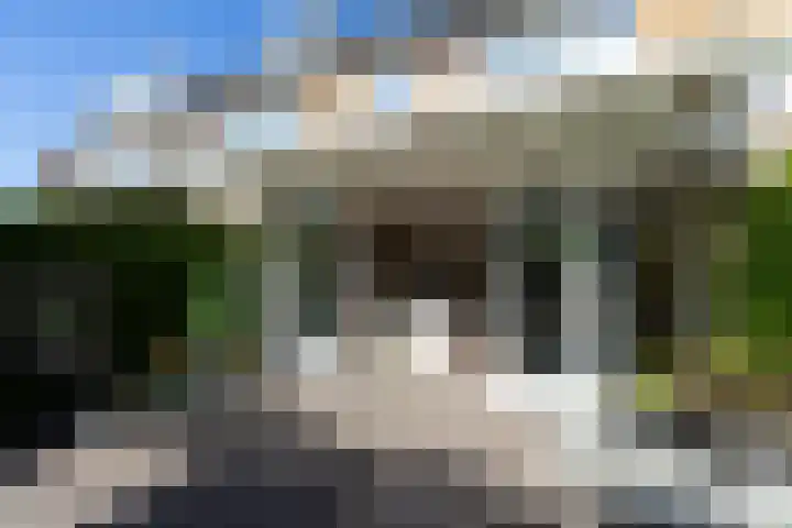 De Meibloem 5 Wateringen thumbnail 30