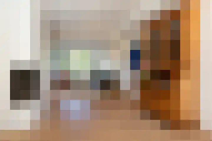 De Meibloem 5 Wateringen thumbnail 32