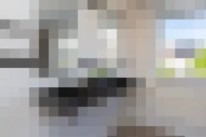 De Meibloem 5 Wateringen thumbnail 39