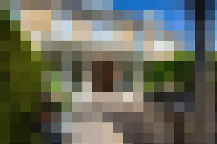 De Meibloem 5 Wateringen thumbnail 4
