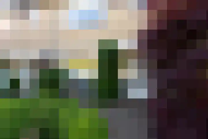 De Meibloem 5 Wateringen thumbnail 5