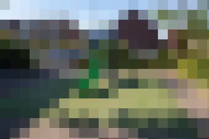 De Meibloem 5 Wateringen thumbnail 56