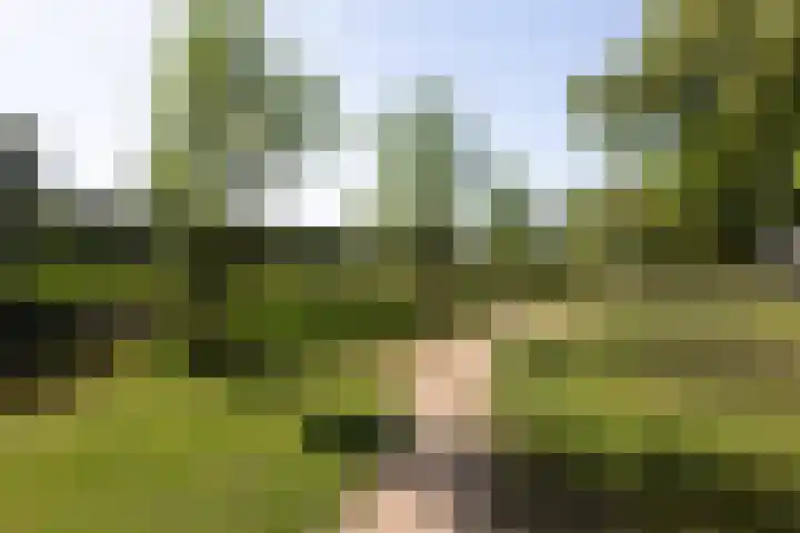 De Meibloem 5 Wateringen thumbnail 57