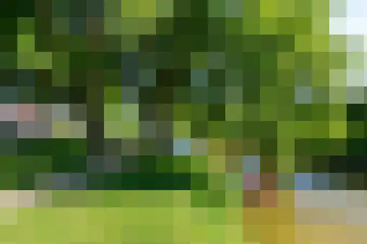 De Meibloem 5 Wateringen thumbnail 58