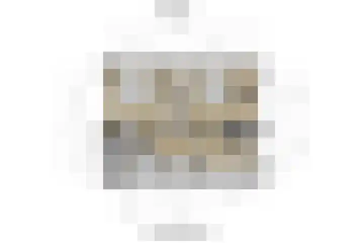 De Meibloem 5 Wateringen thumbnail 60