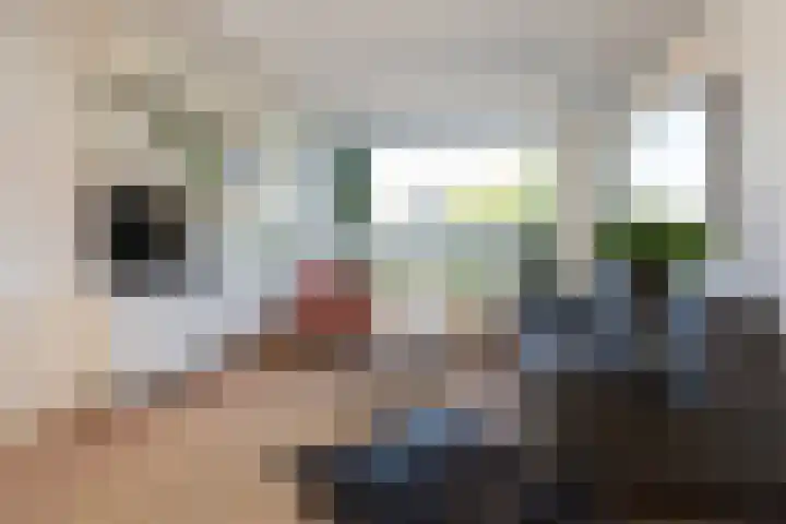 De Meibloem 5 Wateringen thumbnail 9