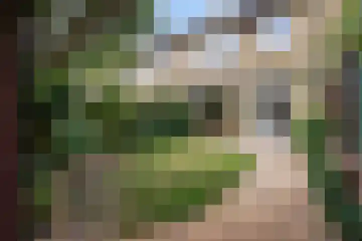 De Meibloem 57 Wateringen thumbnail 29