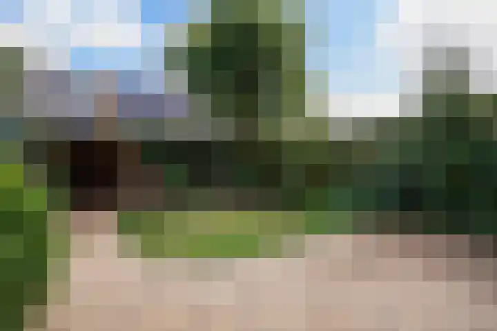 De Meibloem 57 Wateringen thumbnail 5