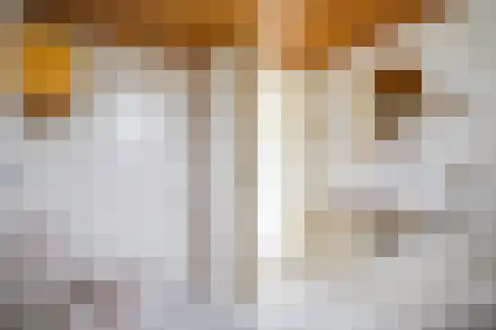 De Meibloem 57 Wateringen thumbnail 62