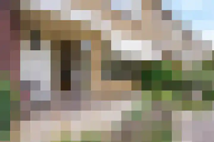 De Meibloem 57 Wateringen thumbnail 7